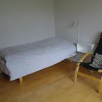 Agervig 3*
