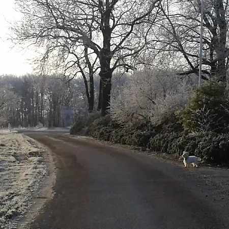 招待所 Agervig 3*