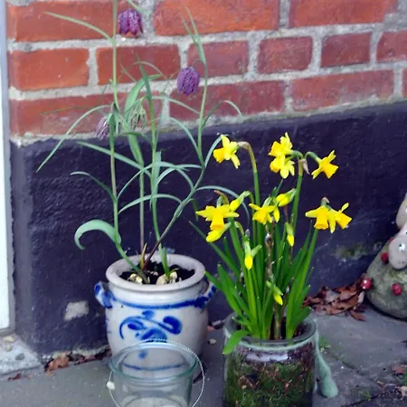 Casa de hóspedes Agervig Næsbjerg