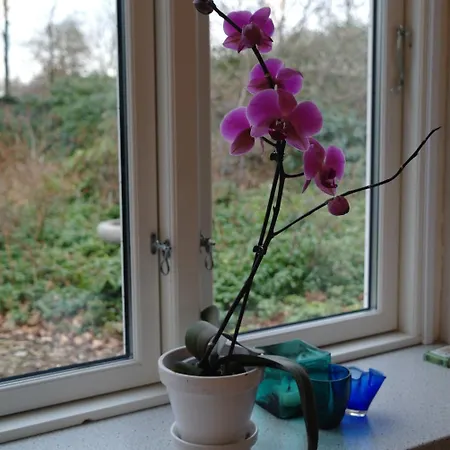 Agervig Casa de hóspedes 3*